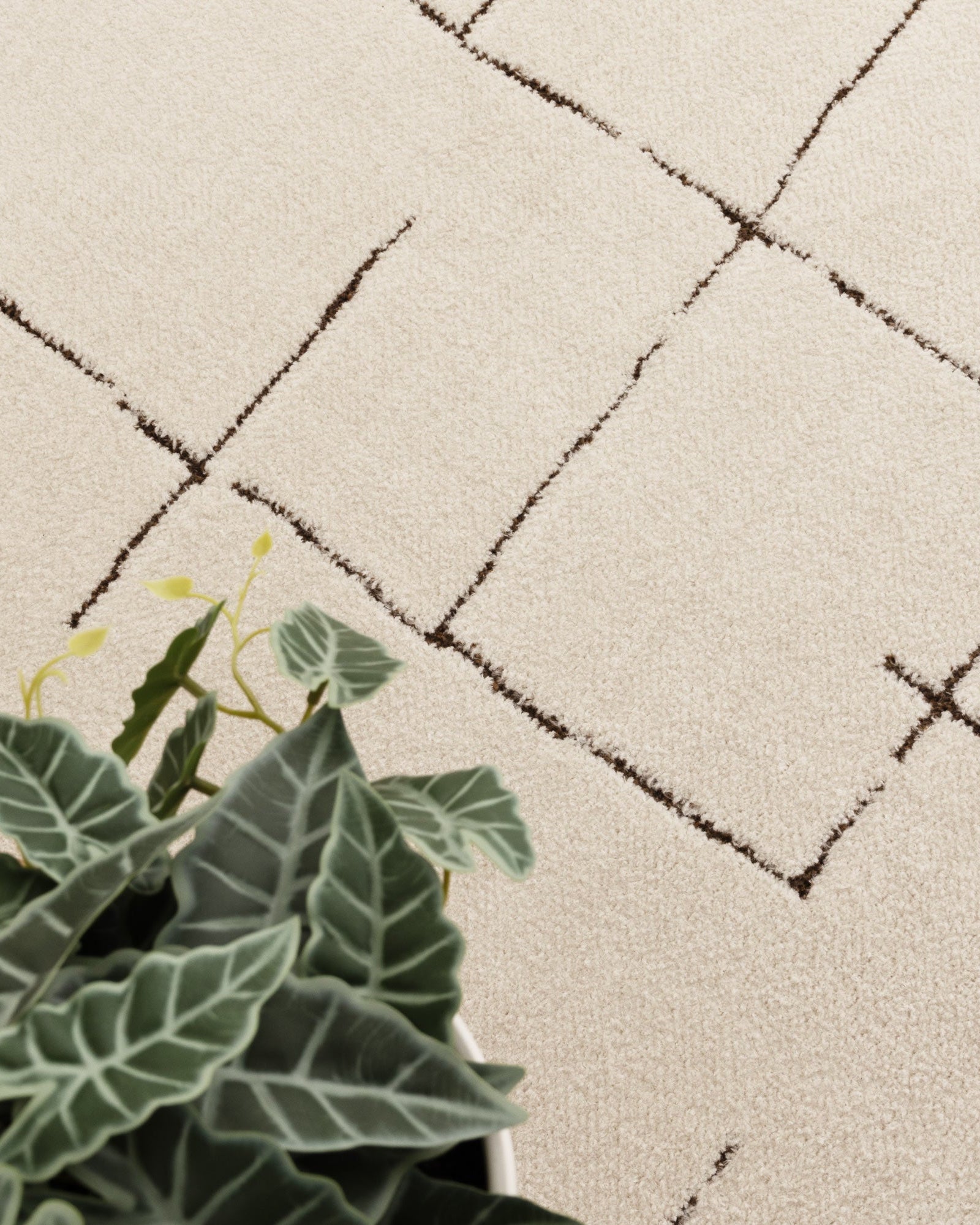 Mila Abstract Lines Brown Cream Rug - MIL10: New Arrival - Brown modern abstract rug from Vogue Rugs Australia