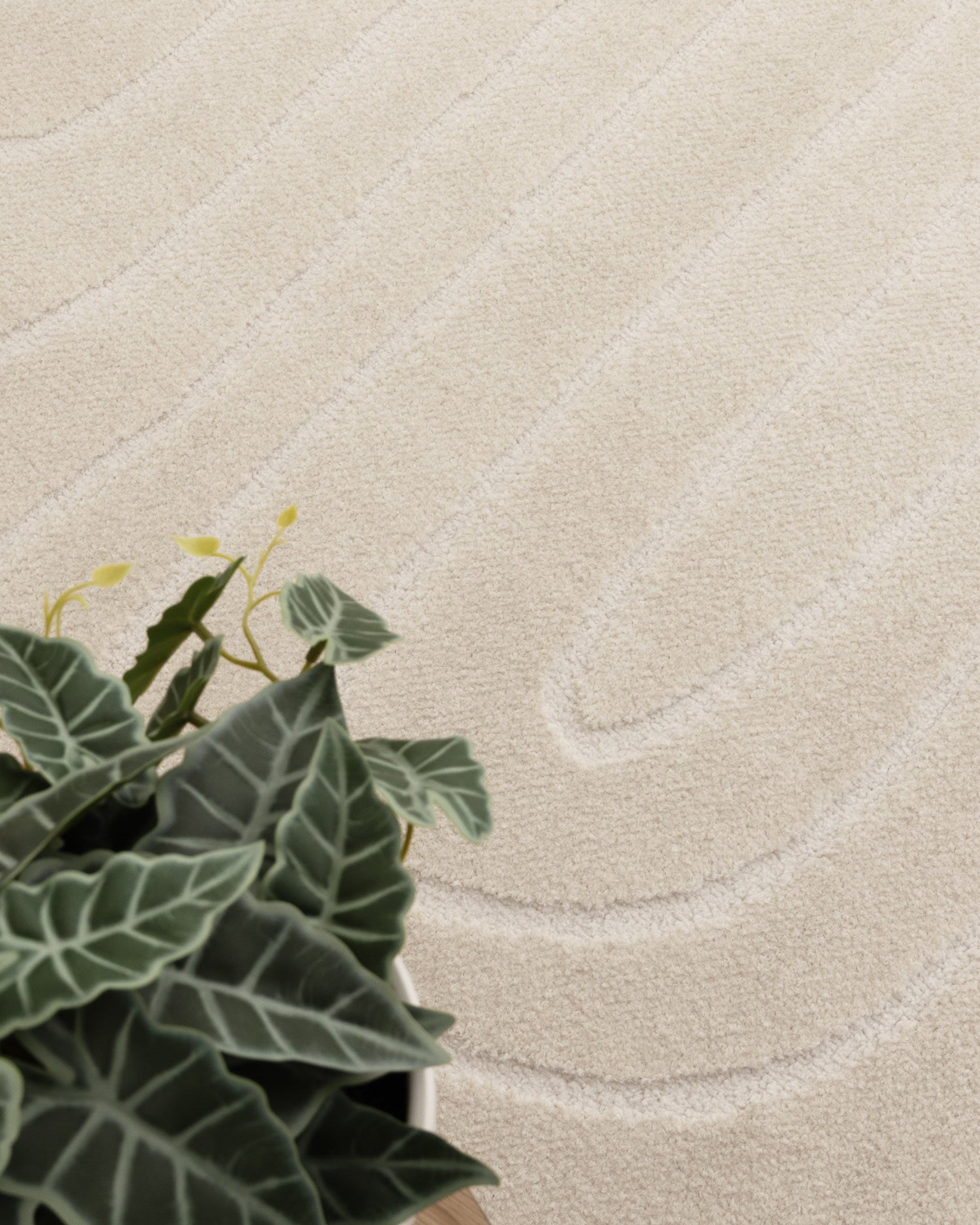 Mila Arch Lines Cream Rug - MIL7: New Arrival - Cream area rug rug from Vogue Rugs Australia