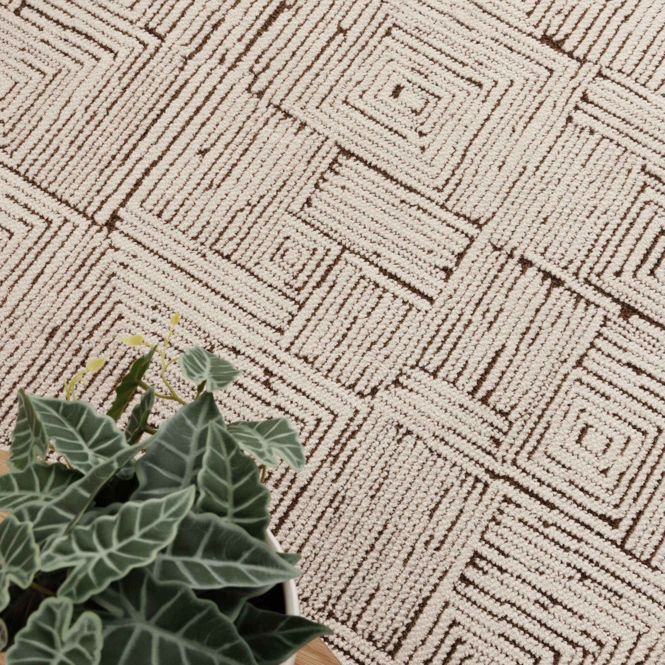 Mila Geometric Squares Cream Brown Rug - MIL8: New Arrival.