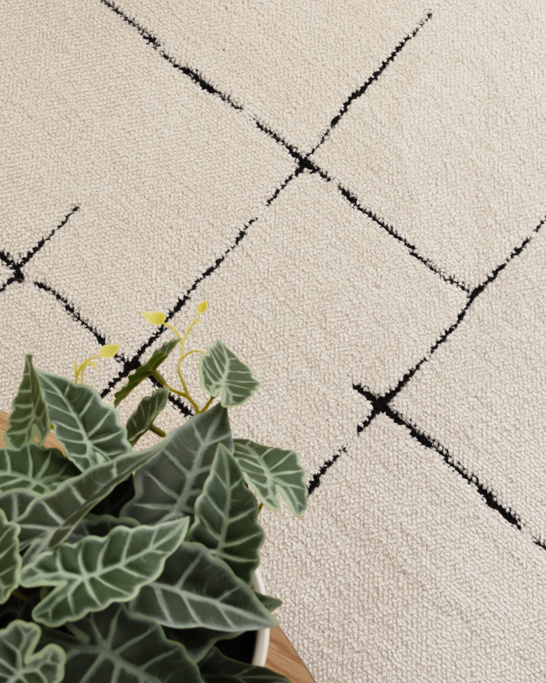 Mila Abstract Lines Black Cream Rug - MIL9: New Arrival - Black modern abstract rug from Vogue Rugs Australia
