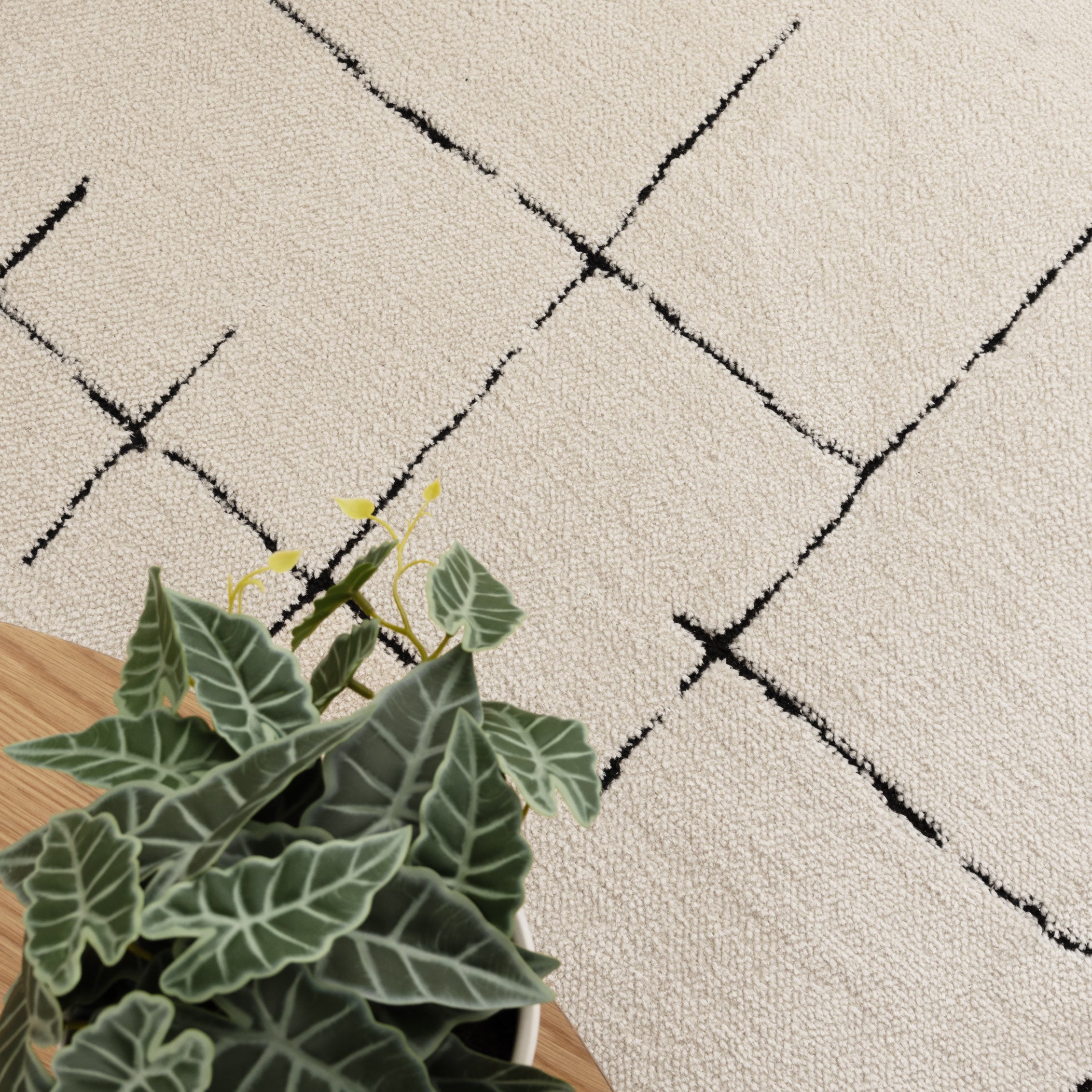 Mila Abstract Lines Black Cream Rug - MIL9: New Arrival.