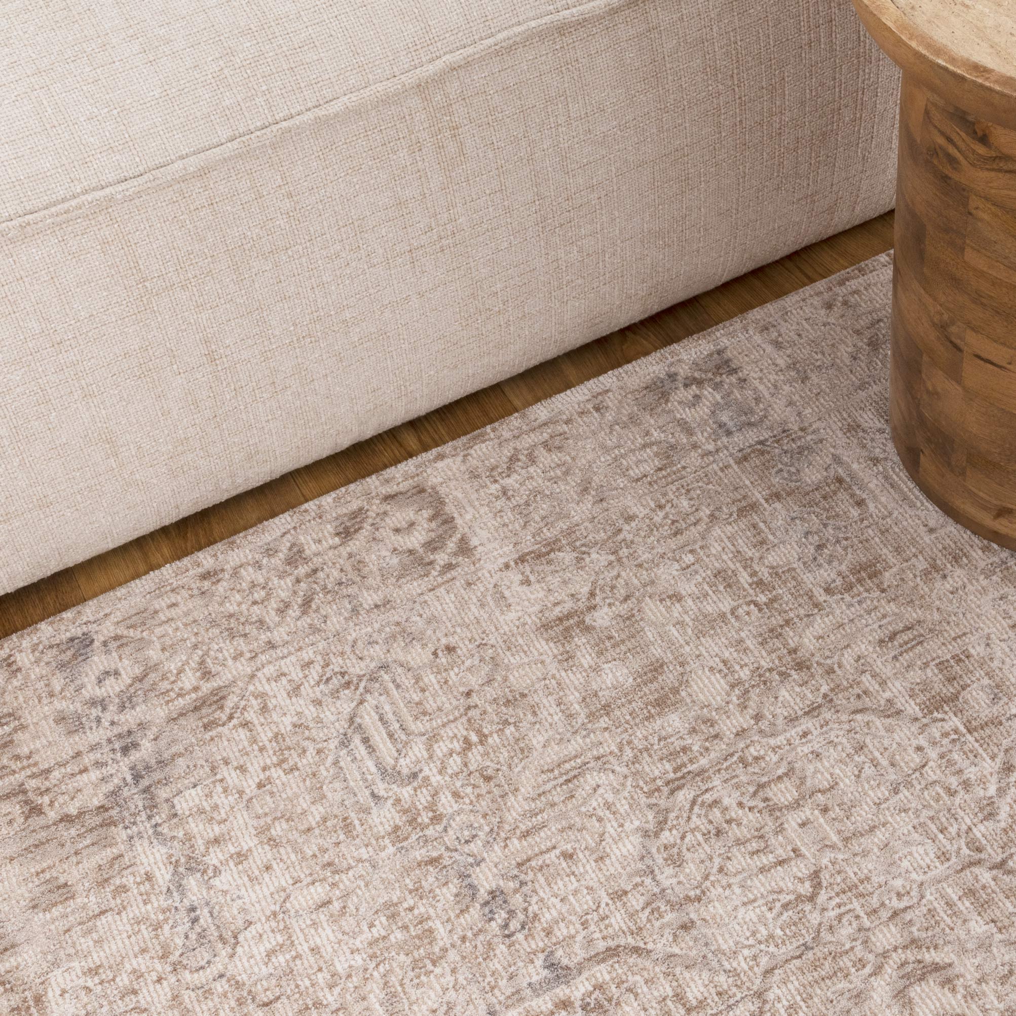 Solenne Beige & Blue Distressed Vintage Rug - S100.