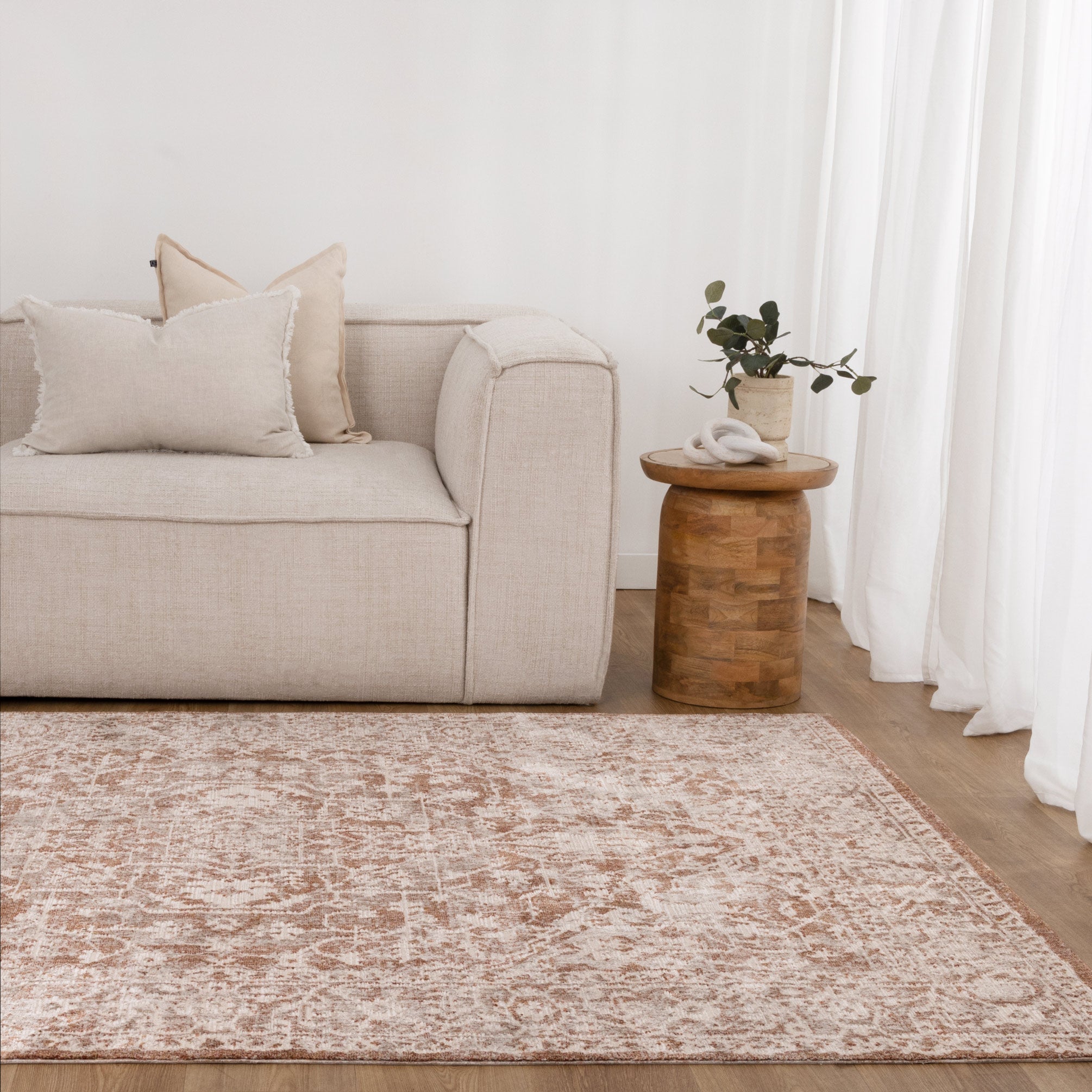 Solenne Beige & Rust Distressed Vintage Rug - S200.