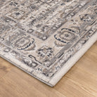 Atina Distressed Transitional Beige Grey Rug - AT05.