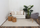 Diego Tribal Beige Wool Rug - DIEG02.