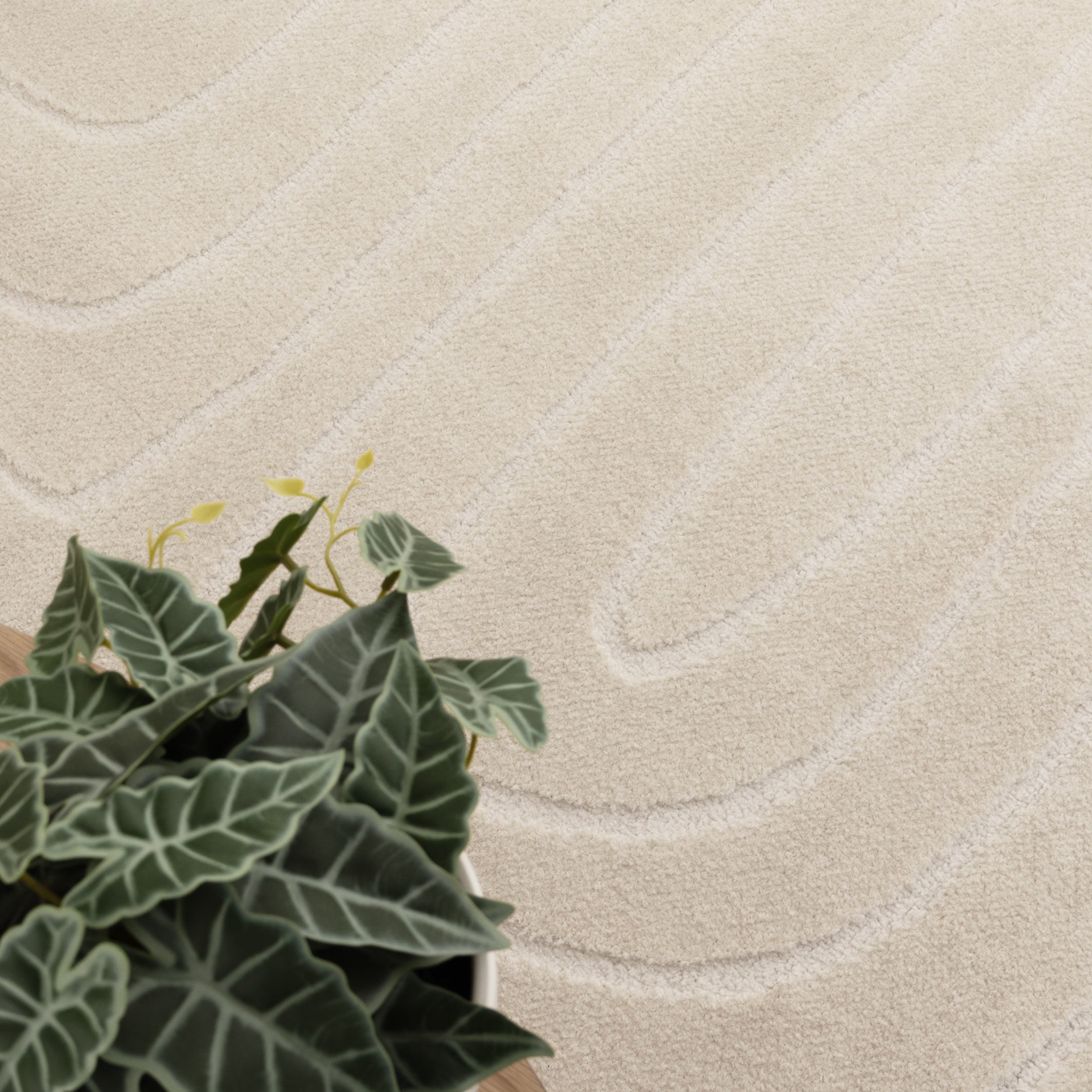 Mila Arch Lines Cream Rug - MIL7: New Arrival - Cream area rug rug from Vogue Rugs Australia