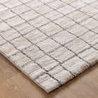 Nola Clean Lines Neutral Rug - N004.