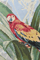 Paradise Birds.
