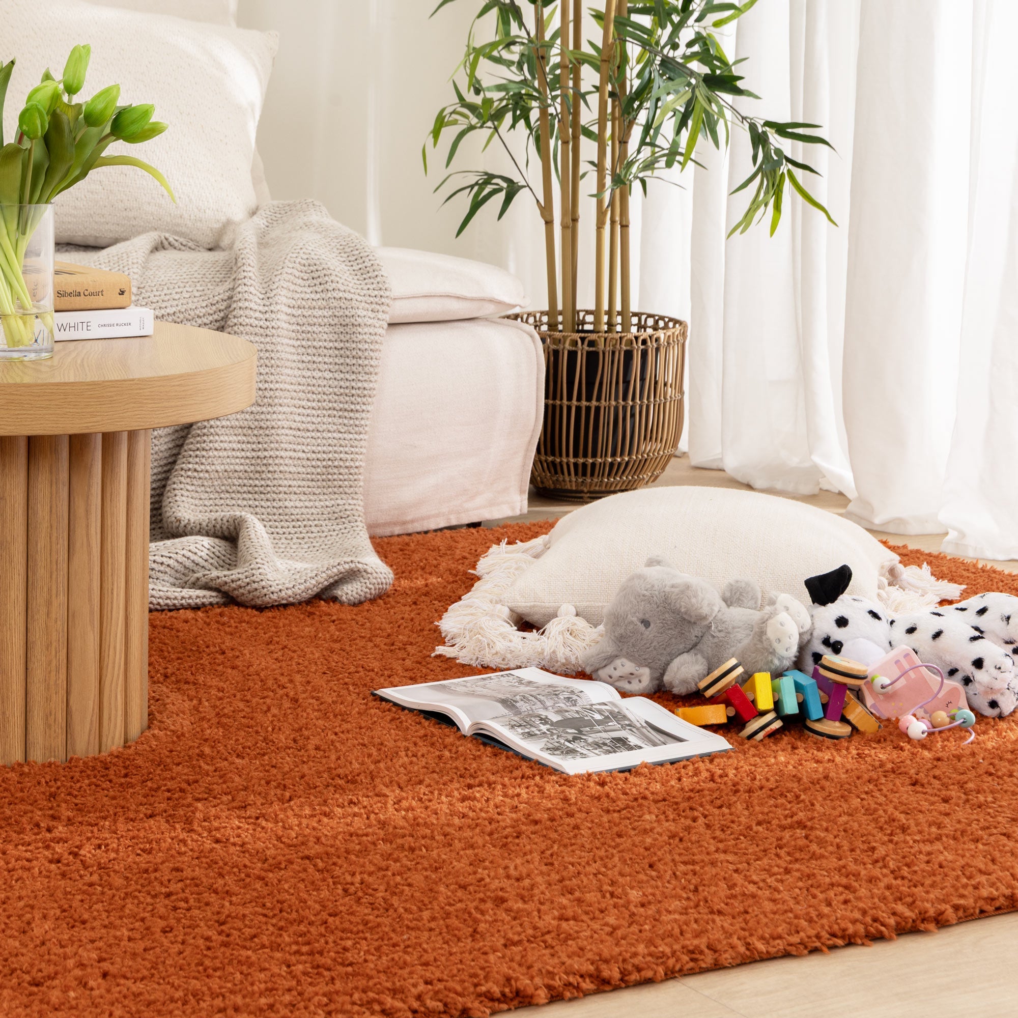 Lune Shaggy Terracotta Rug.