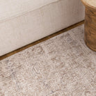 Solenne Beige & Blue Distressed Vintage Rug - S100.
