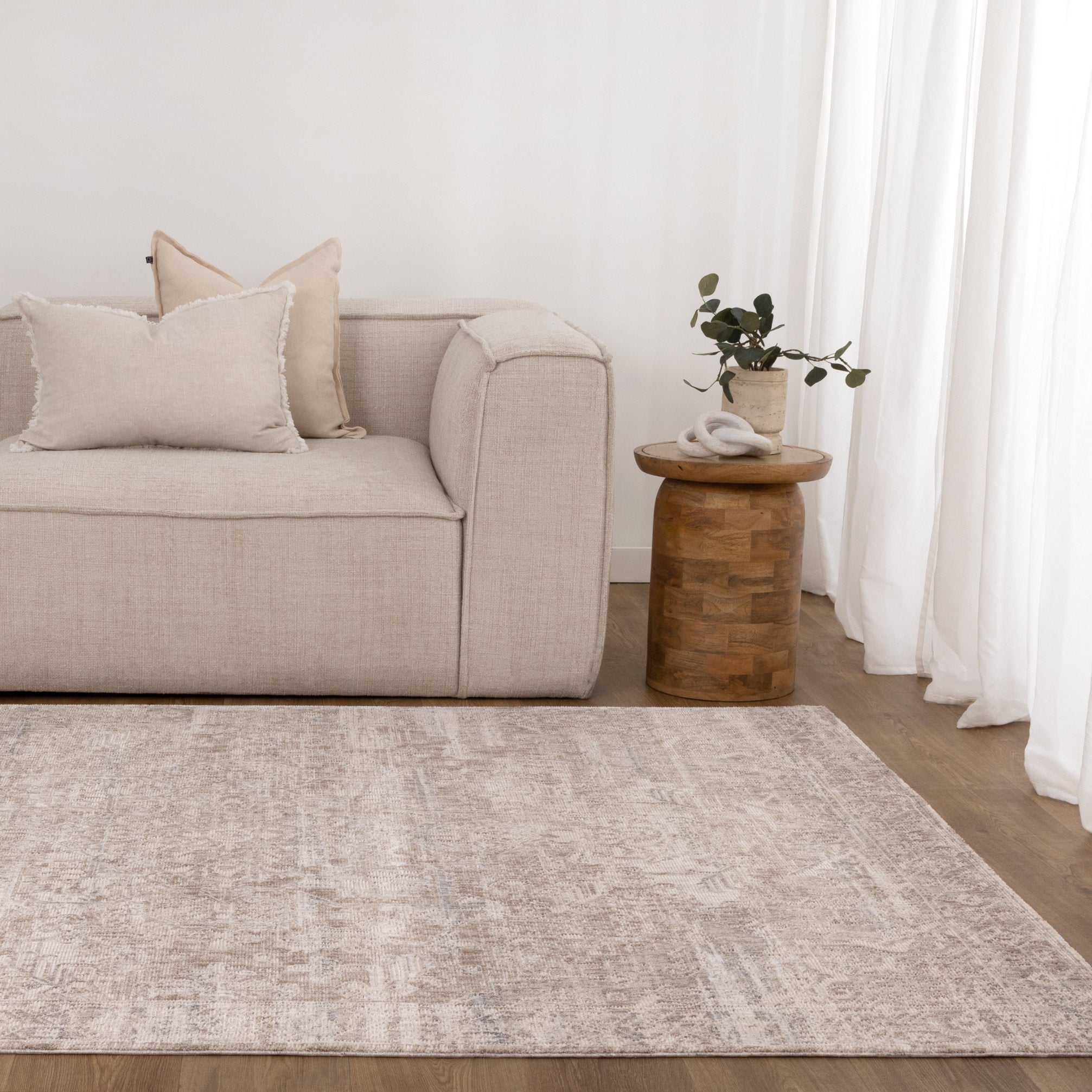 Solenne Beige & Blue Distressed Vintage Rug - S100.
