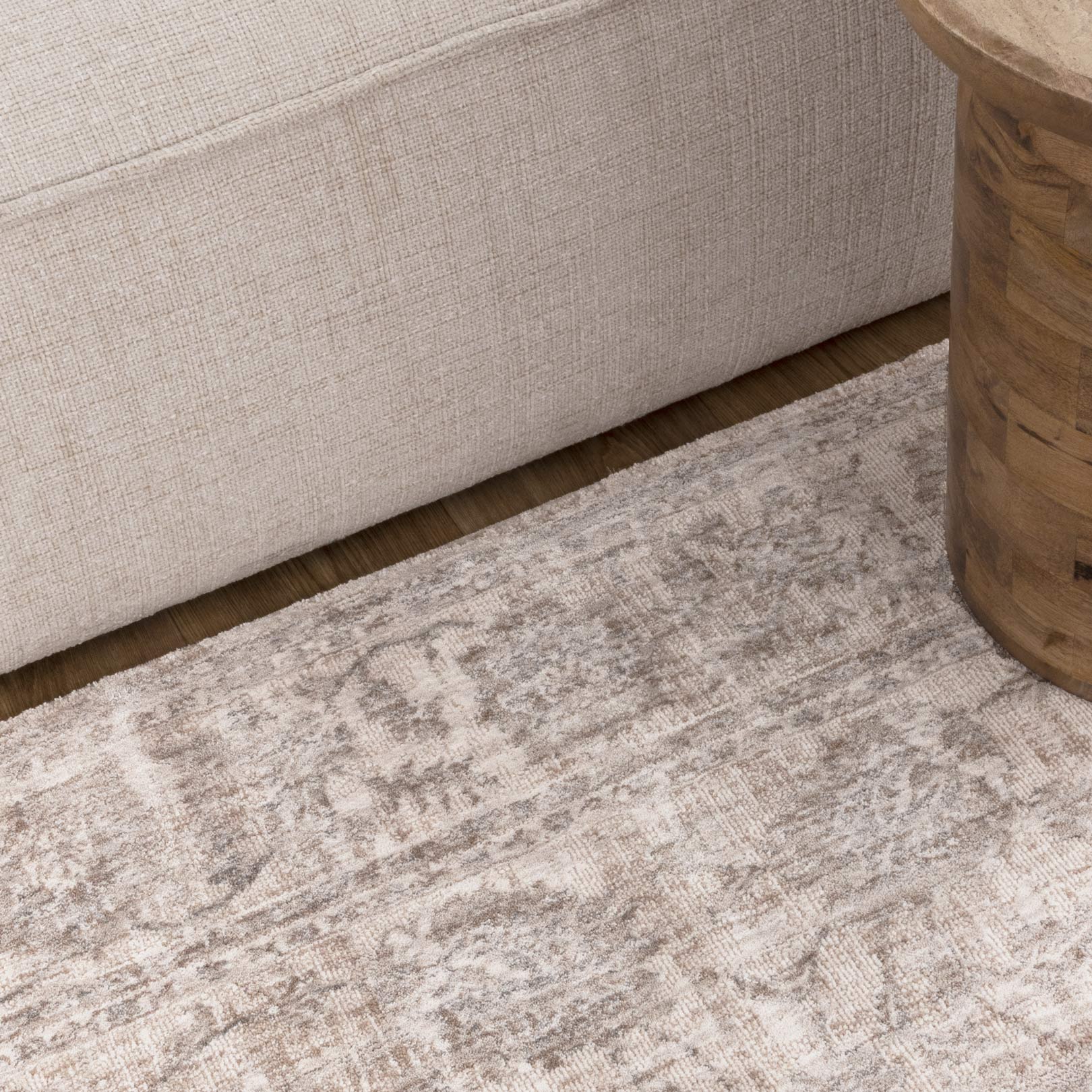 Solenne Beige & Blue Transitional Rug - S300.